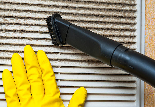 Best Professional Duct Cleaning Services  in Enfield, NC